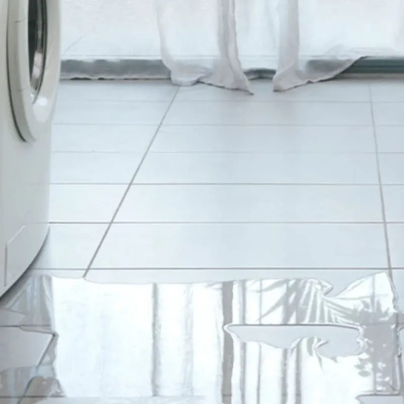 Appliance Leak Cleanup in Shell Knob, MO