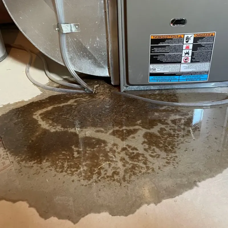 Pipe Burst and Leak Restoration in Shell Knob, MO