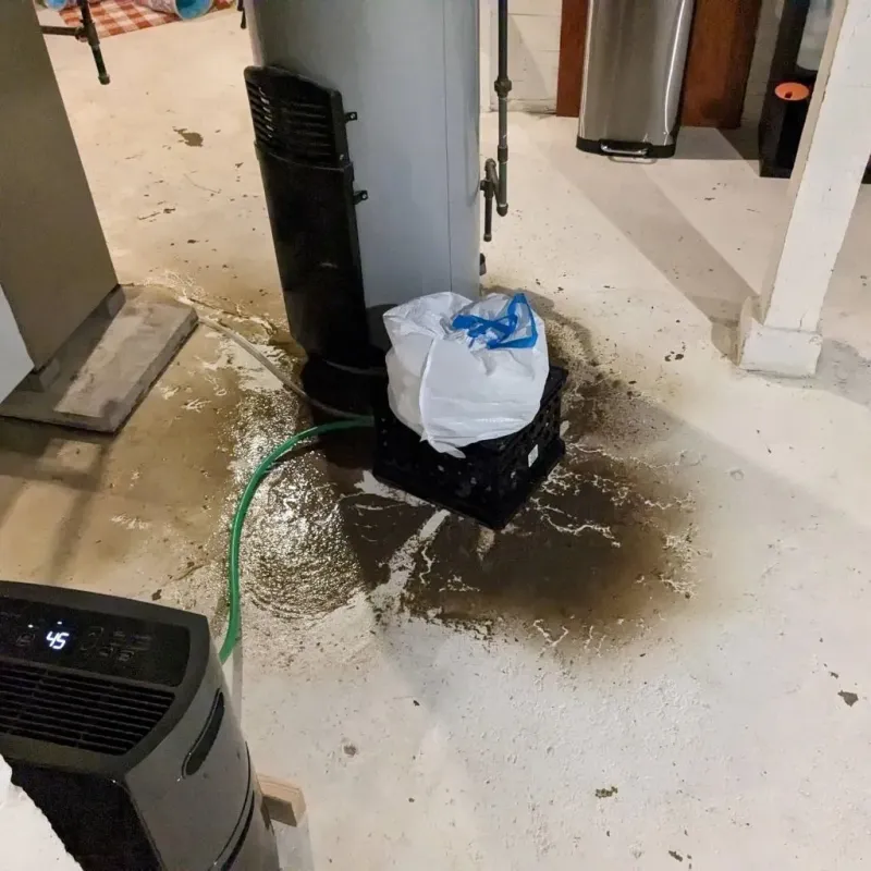 Sewage Backup Cleanup Service in Shell Knob, MO